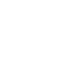 icons8-key-2-100